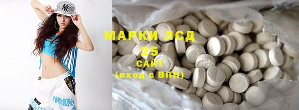 шишки Няндома