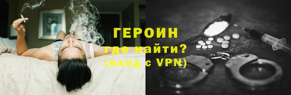 шишки Няндома