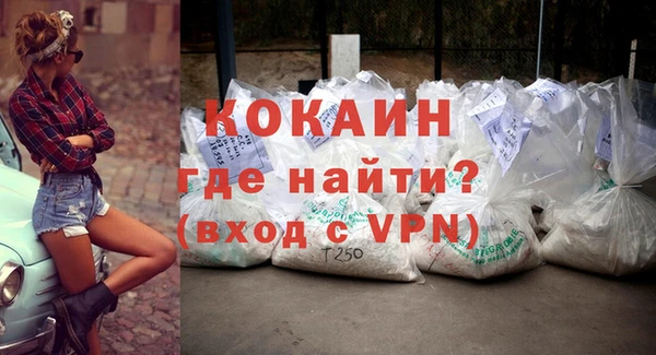 шишки Няндома