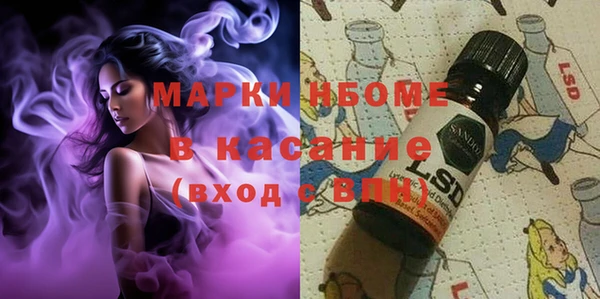 шишки Няндома