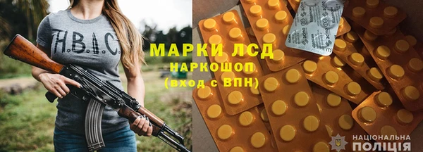 шишки Няндома