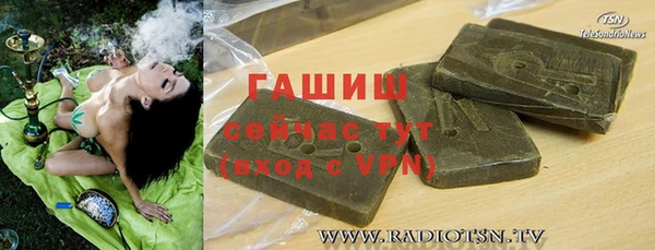 шишки Няндома