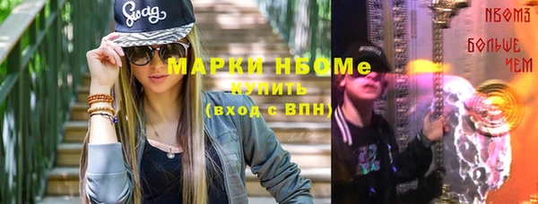 шишки Няндома