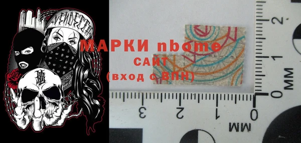шишки Няндома