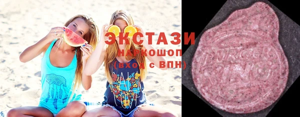 шишки Няндома