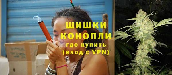 шишки Няндома