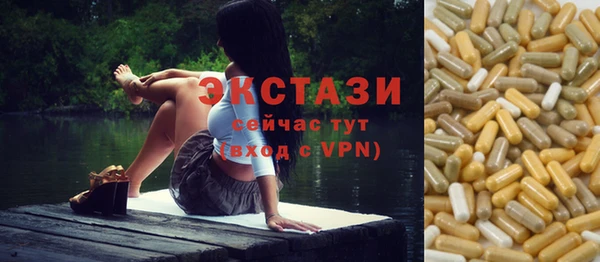 шишки Няндома