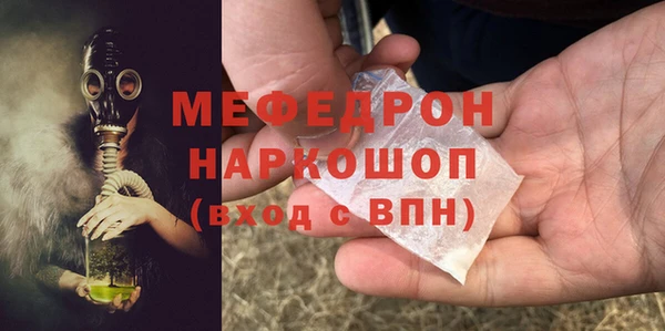 шишки Няндома
