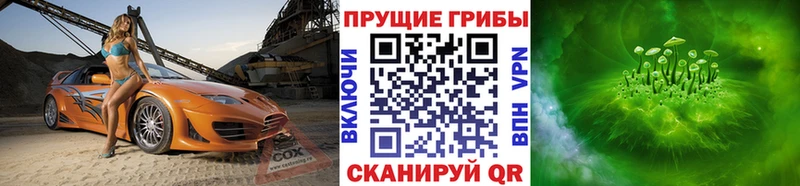 Псилоцибиновые грибы Psilocybine cubensis  дарнет шоп  Россошь 