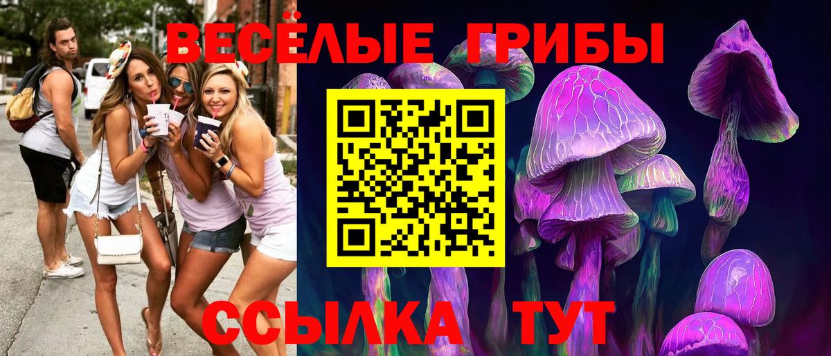 Галлюциногенные грибы ЛСД  Вход с VPN  Россошь 