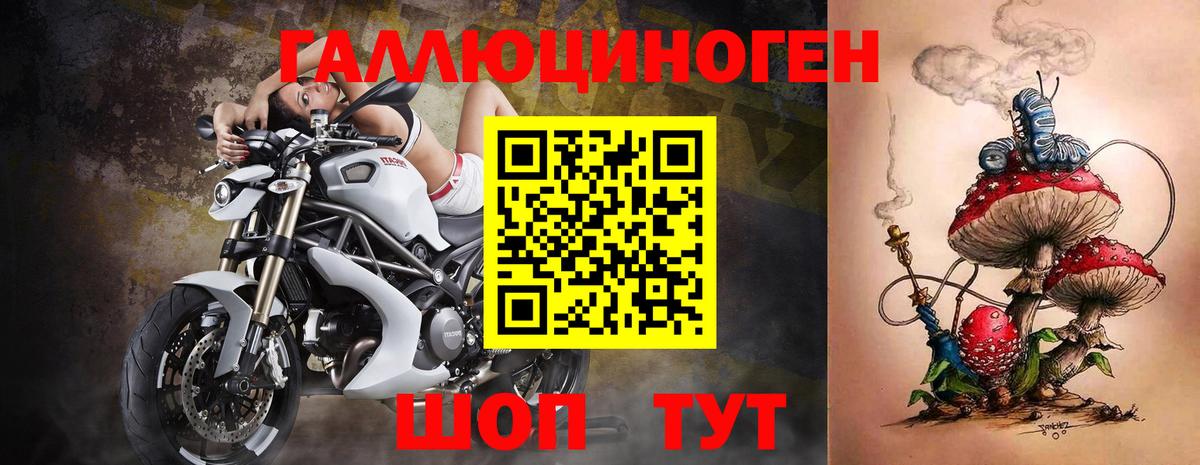 Галлюциногенные грибы Psilocybe Россошь