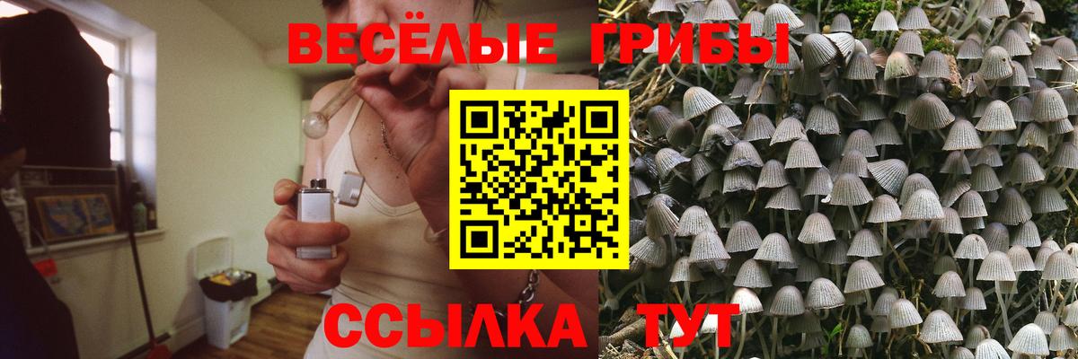 A-PVP Россошь