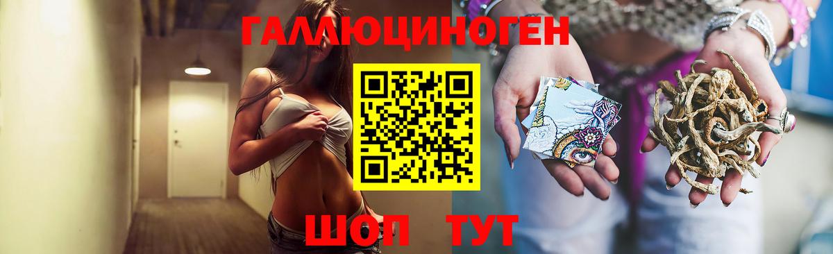 Галлюциногенные грибы ЛСД  где продают наркотики  Псилоцибиновые грибы ЛСД  Россошь 